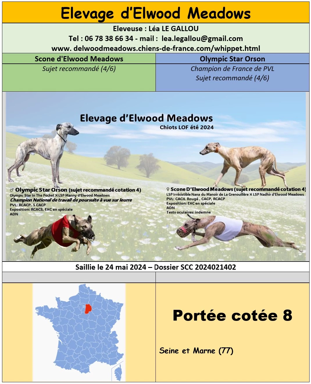 Saillie élevage d'Elwood Meadows juillet 2024