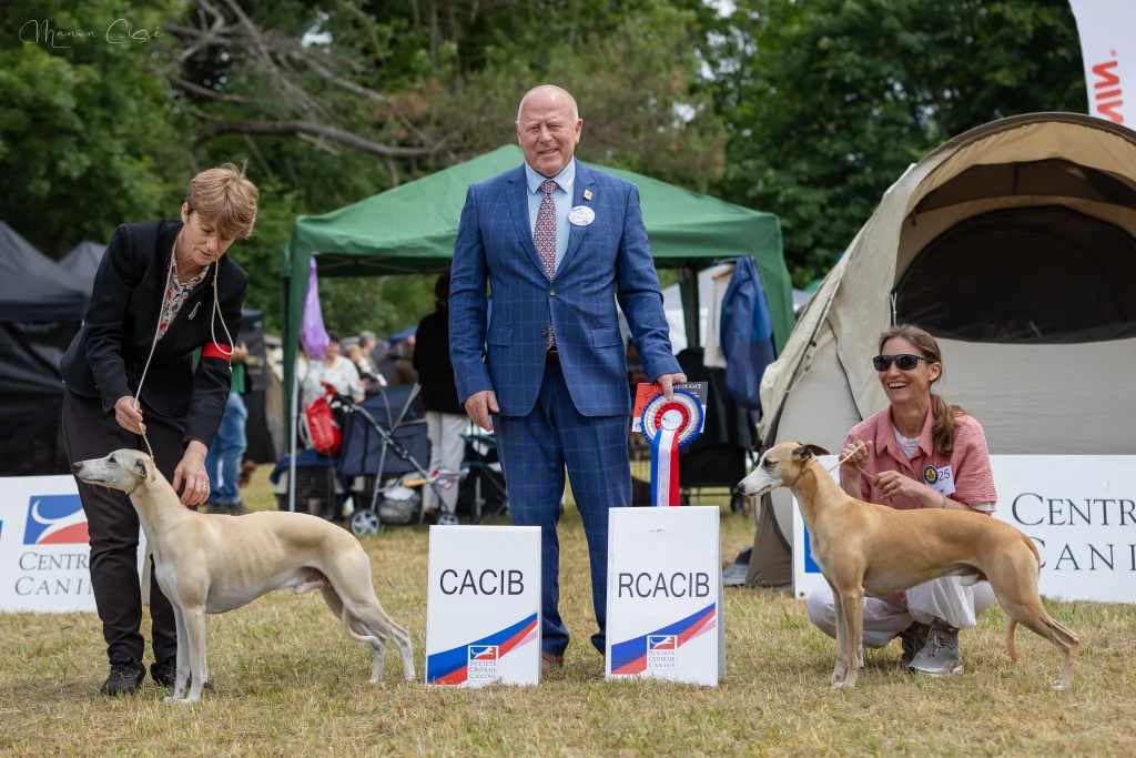 1er EXC CACIB BOS YOHJI YAMAMOTO OF GENTLE MIND à Mme BOURGET SABINE 2ème EXC SANDRO DE L’ORLYNE DE STANDERLING à Mme MARION CHRISTINE