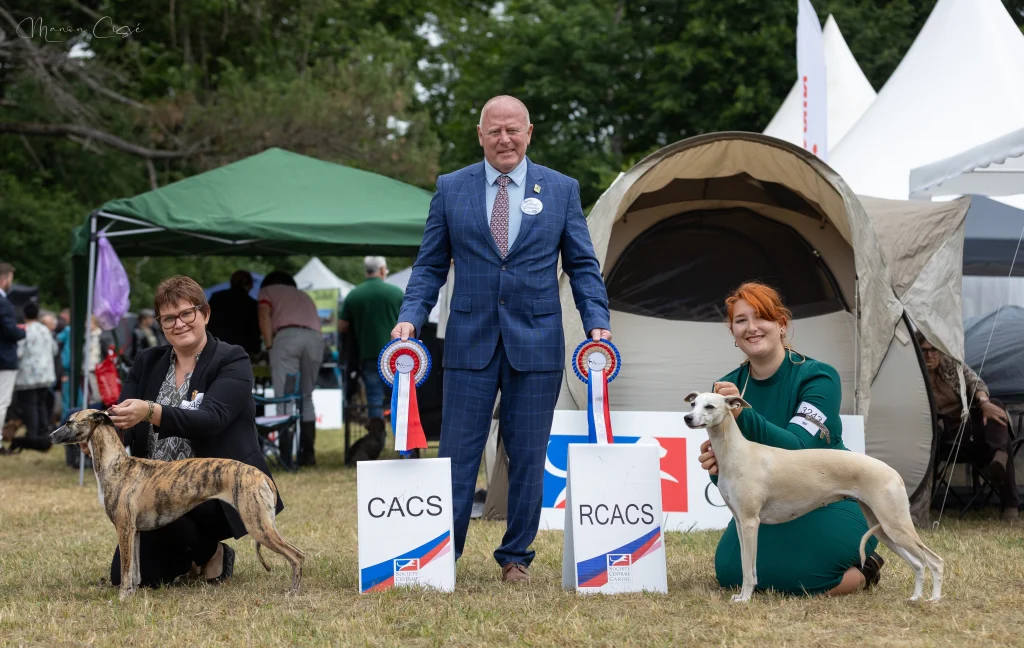 1er EXC CACS CACIB BOB ULTIME GENERATION DES PLAINES DES BRUYERES à Mme CLAVEQUIN LAETITIA 2ème EXC RCACS TA GUEULE -D’AMOUR JULIETTE DES CARMAURIES à M Mme FLORIAN ZILE MANON CISSÉ