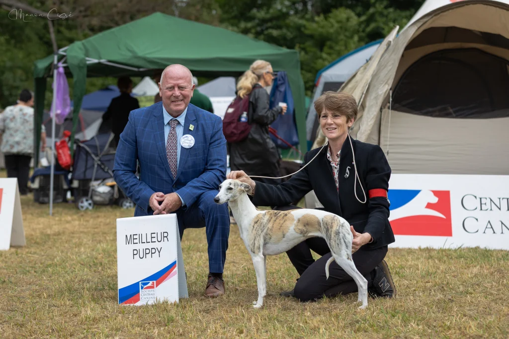 1er TP Meilleur Puppy VOTRE ALTESSE DE LA ROMANCE DES DAMOISEAUX à Mme BOURGET SABINE